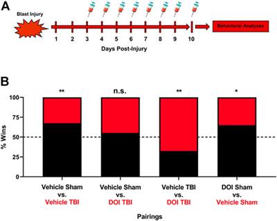 Altered Serotonin 2A (5-HT2A) Receptor Signaling Underlies Mild TBI-Elicited Deficits in Social Dominance